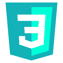 CSS Logo